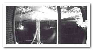 Airbnb Hidden Camera Footage